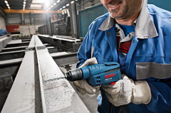 Bosch Professional GBM 10 RE Darbesiz Matkap